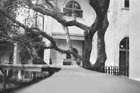 Branching Out