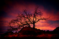 Awakened Spirit