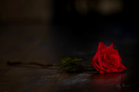 I Love You More