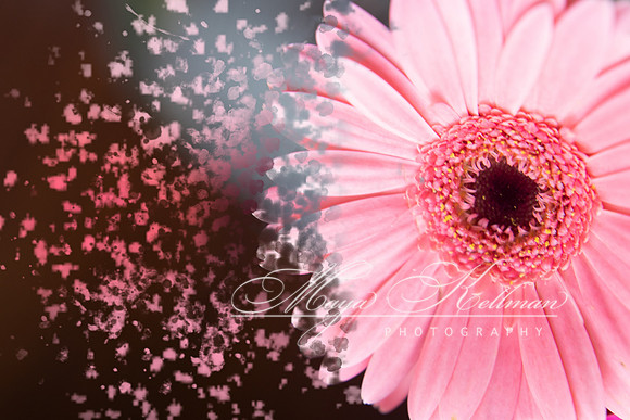 Pink