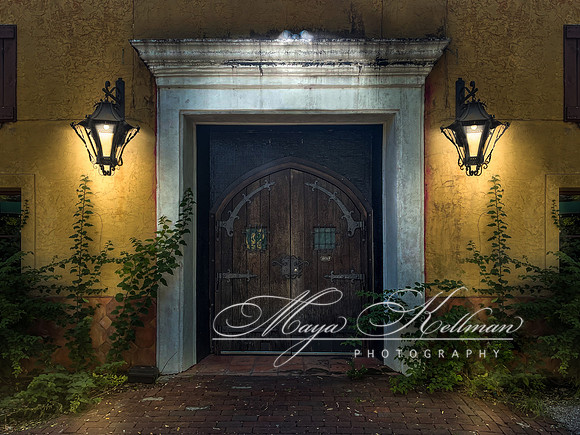 Tampa Door
